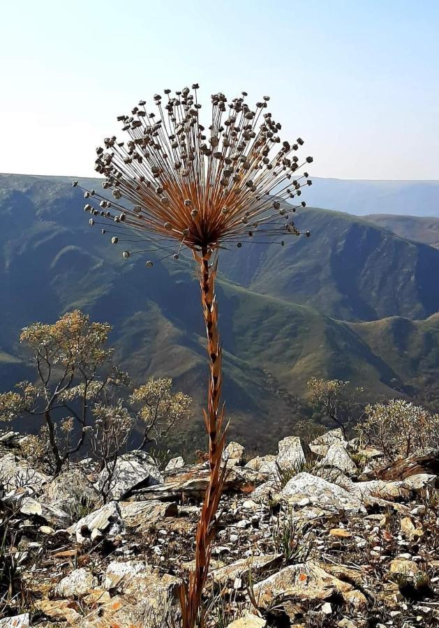 Pousada Perola Mineira Piui Εξωτερικό φωτογραφία